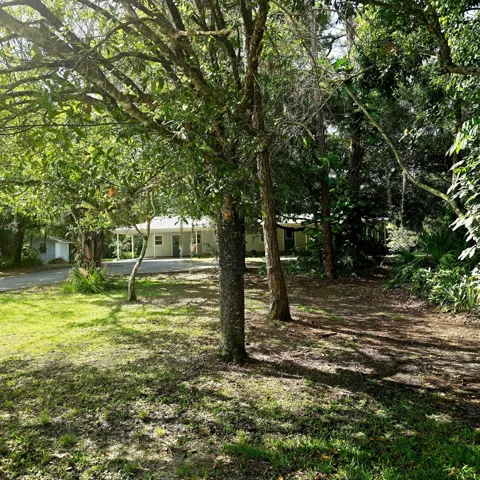 The Property
