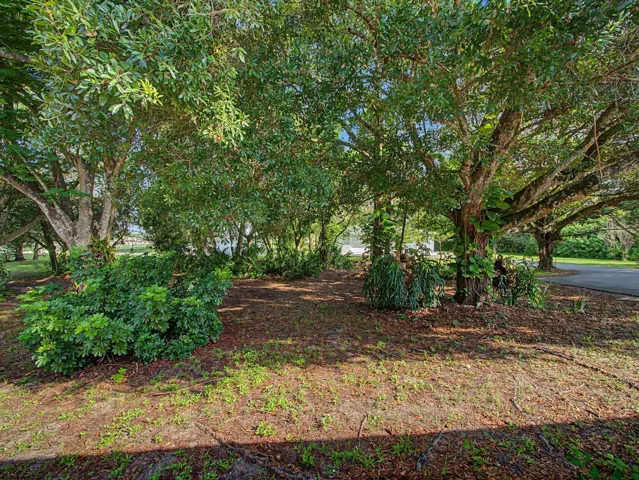 The Property