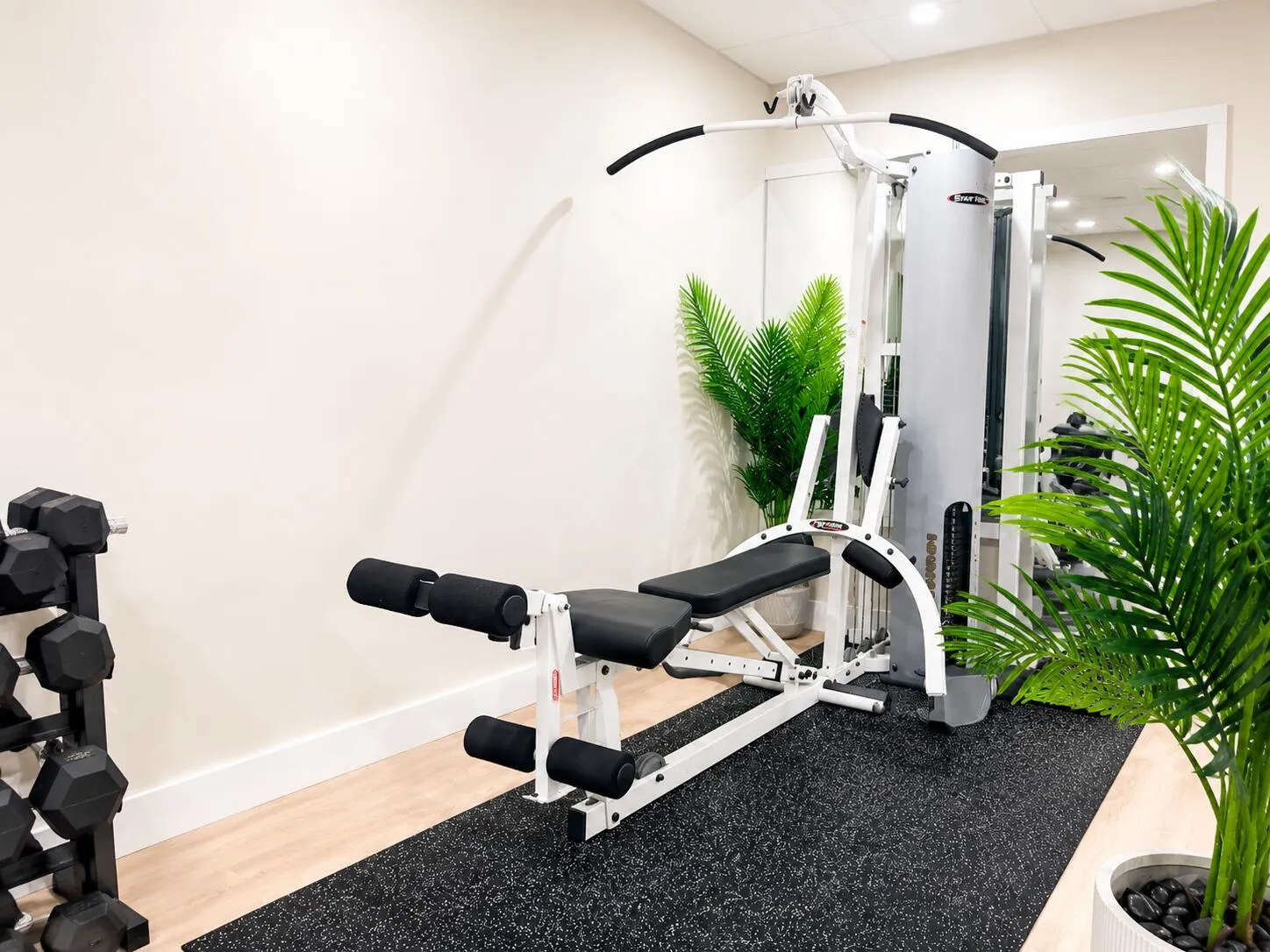 Fitness