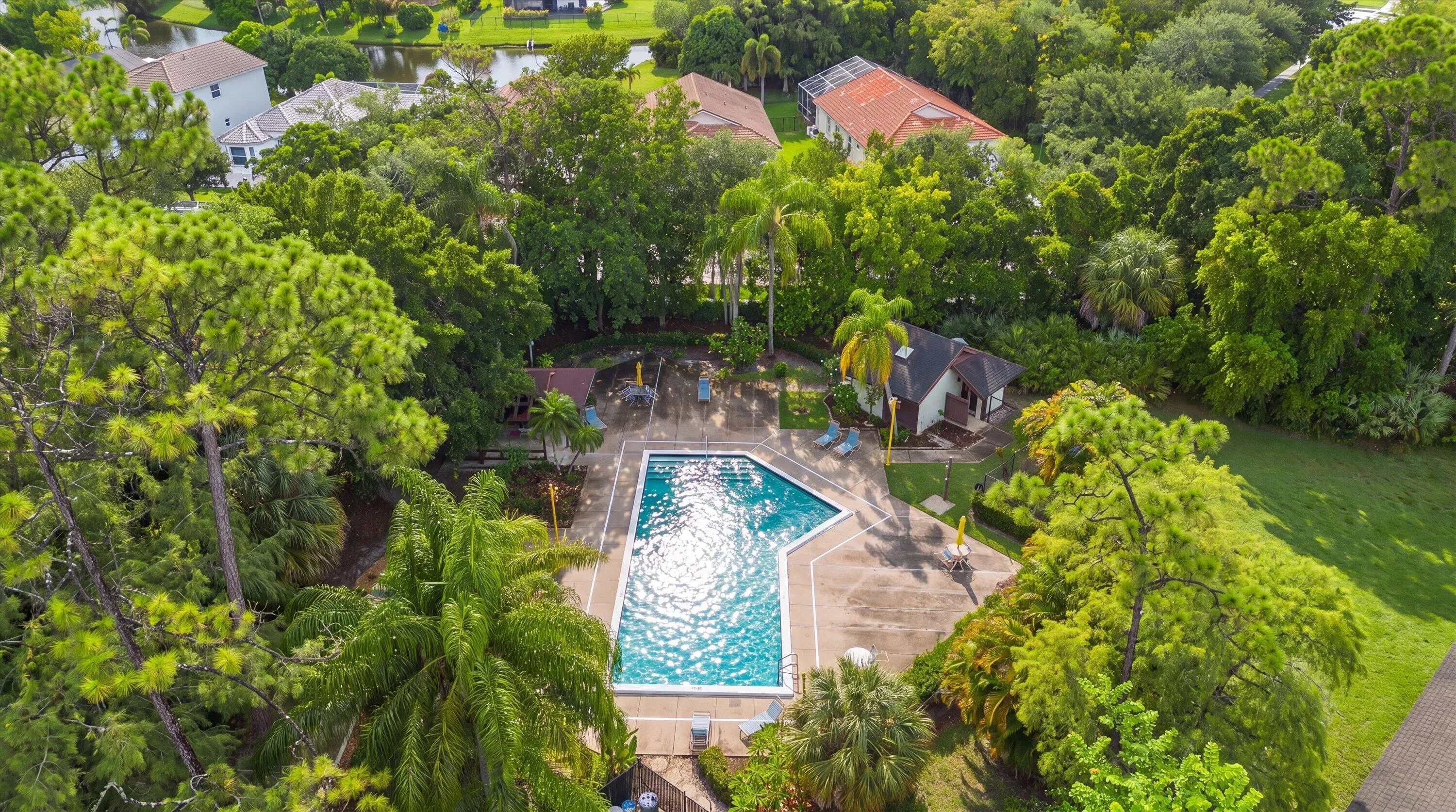 aerial