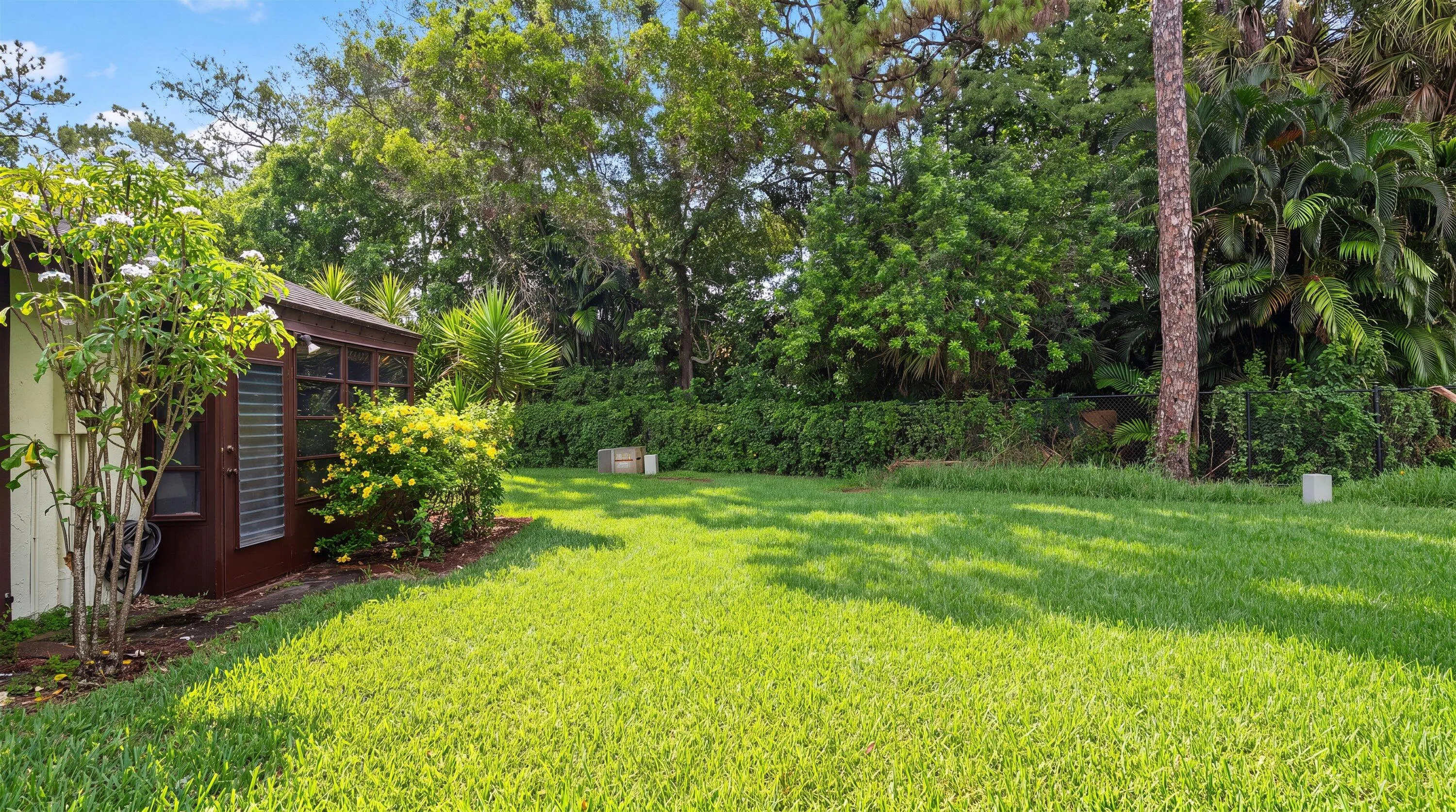 Backyard