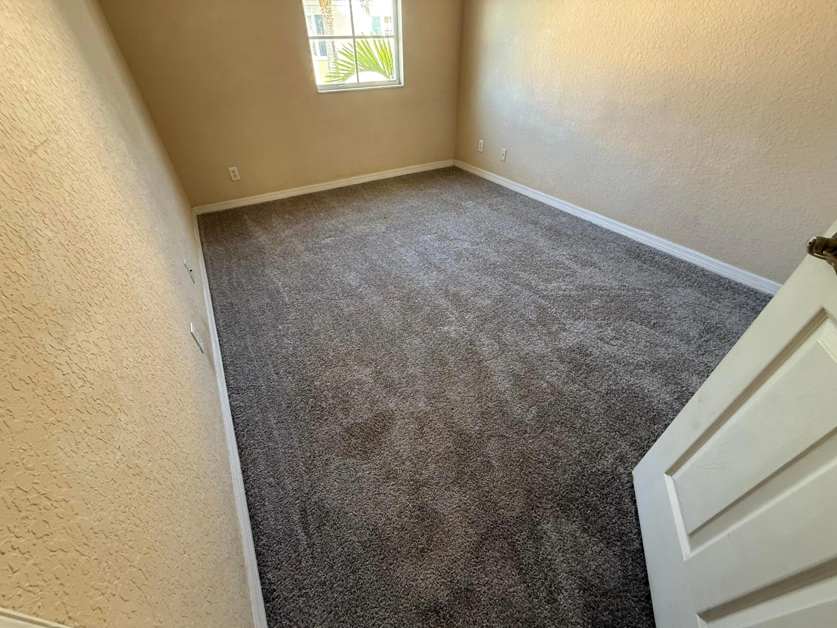 4th Bdrm_carpet