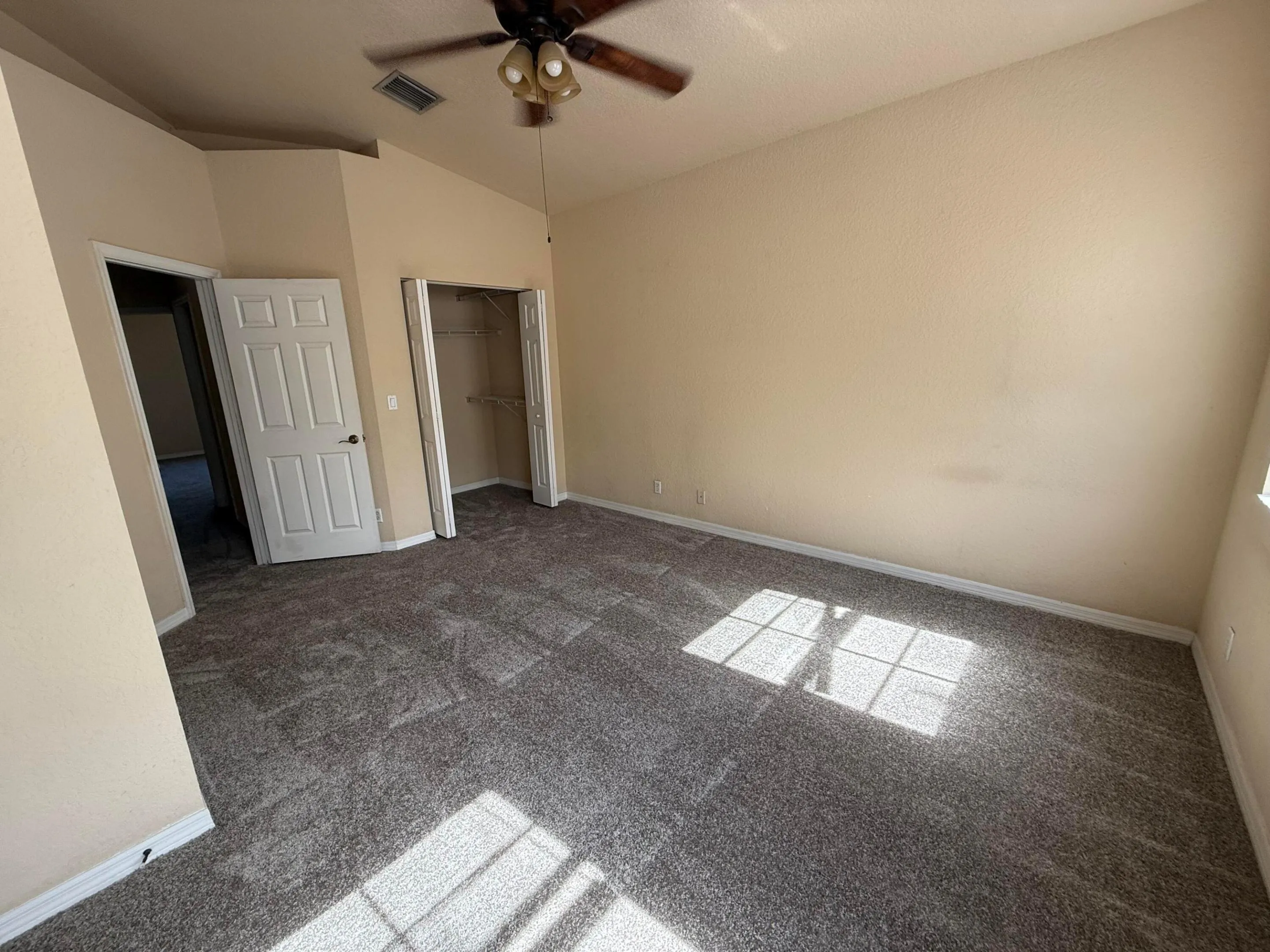 Primary_new carpet