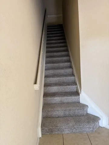 Foyer/New Carpet