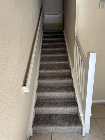 Stairs New Carpet