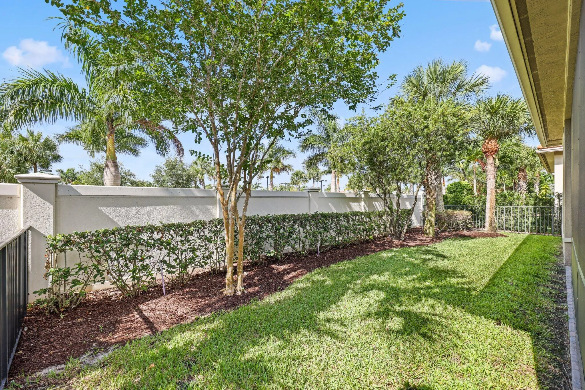 Fenced Backyard
