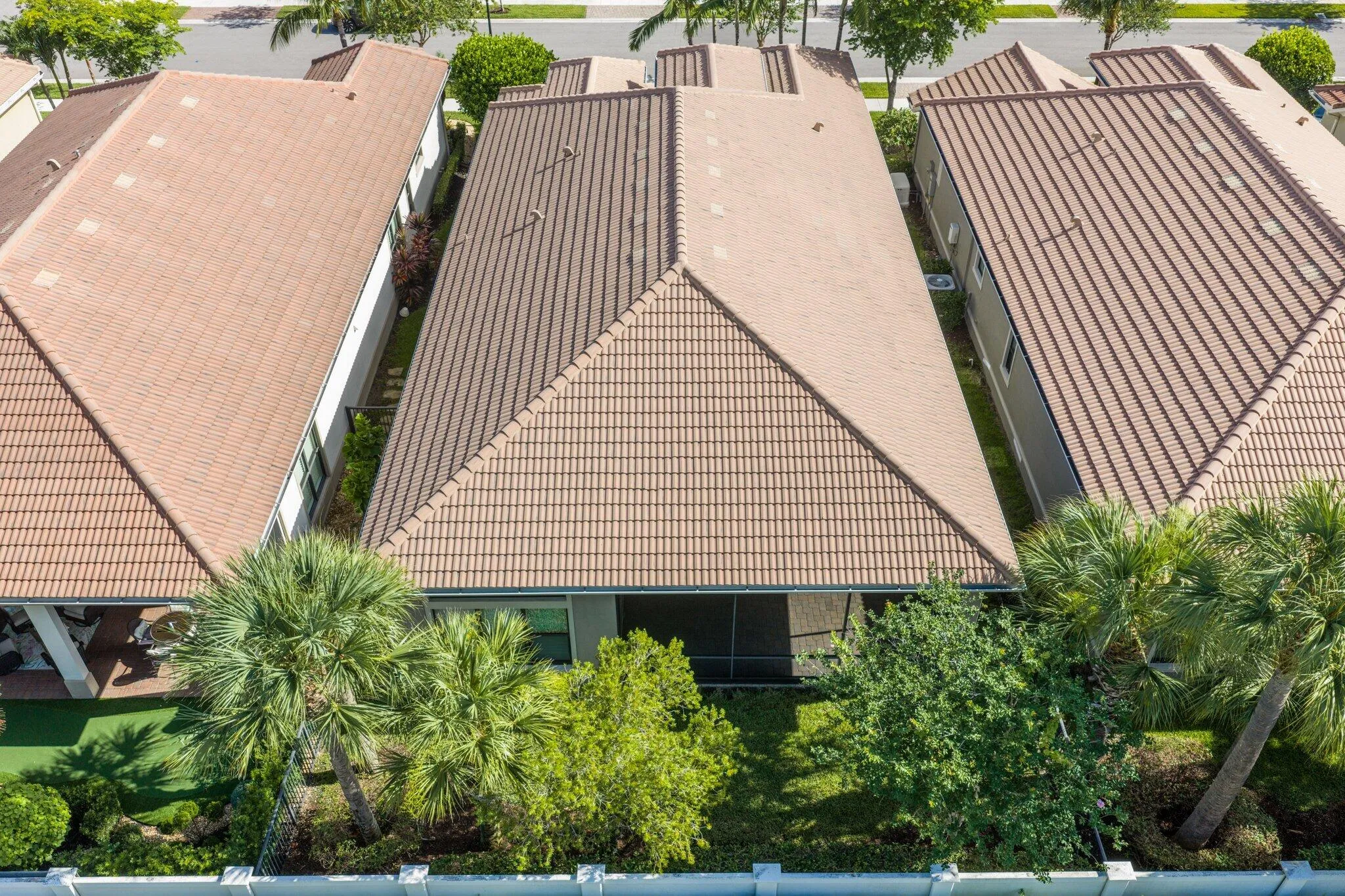 Aerial Shot