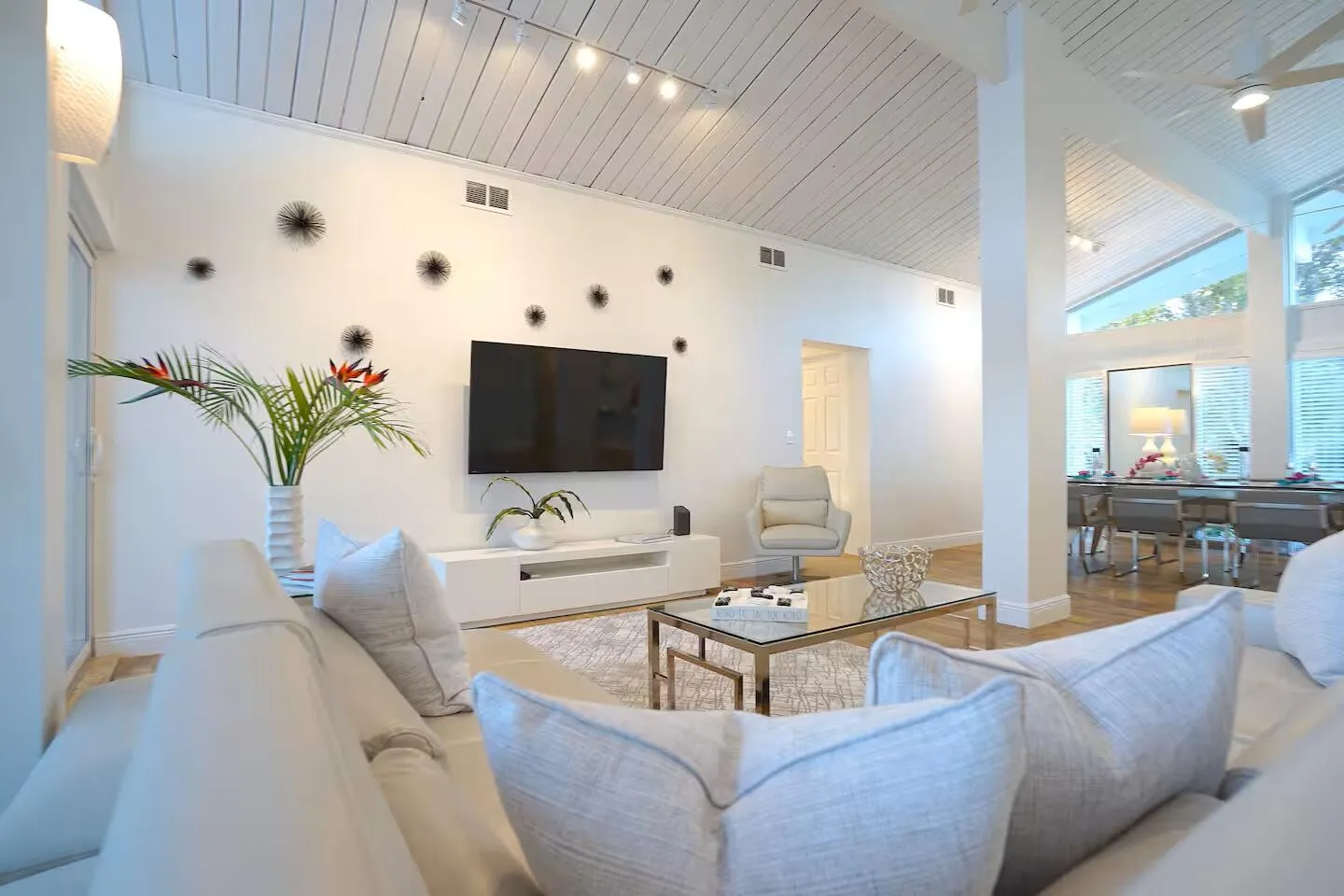Living Room TV