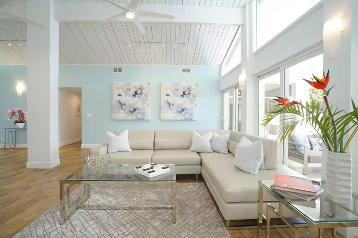Living Room Sofa