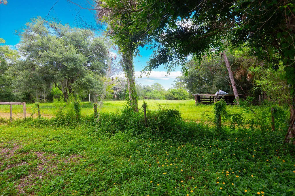 Property photo 45