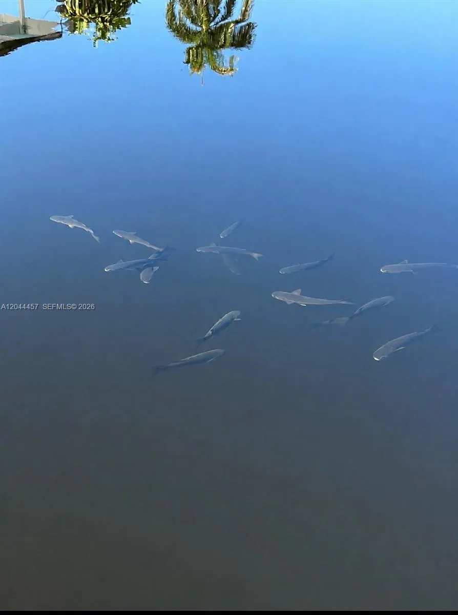 Ocean Access Canal