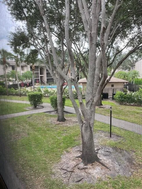 View From Screened Patio