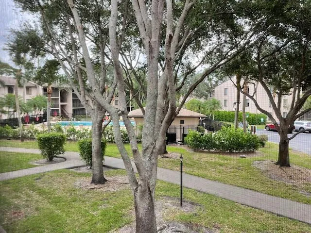 View From Screened Patio