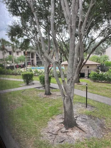 View From Screened Patio