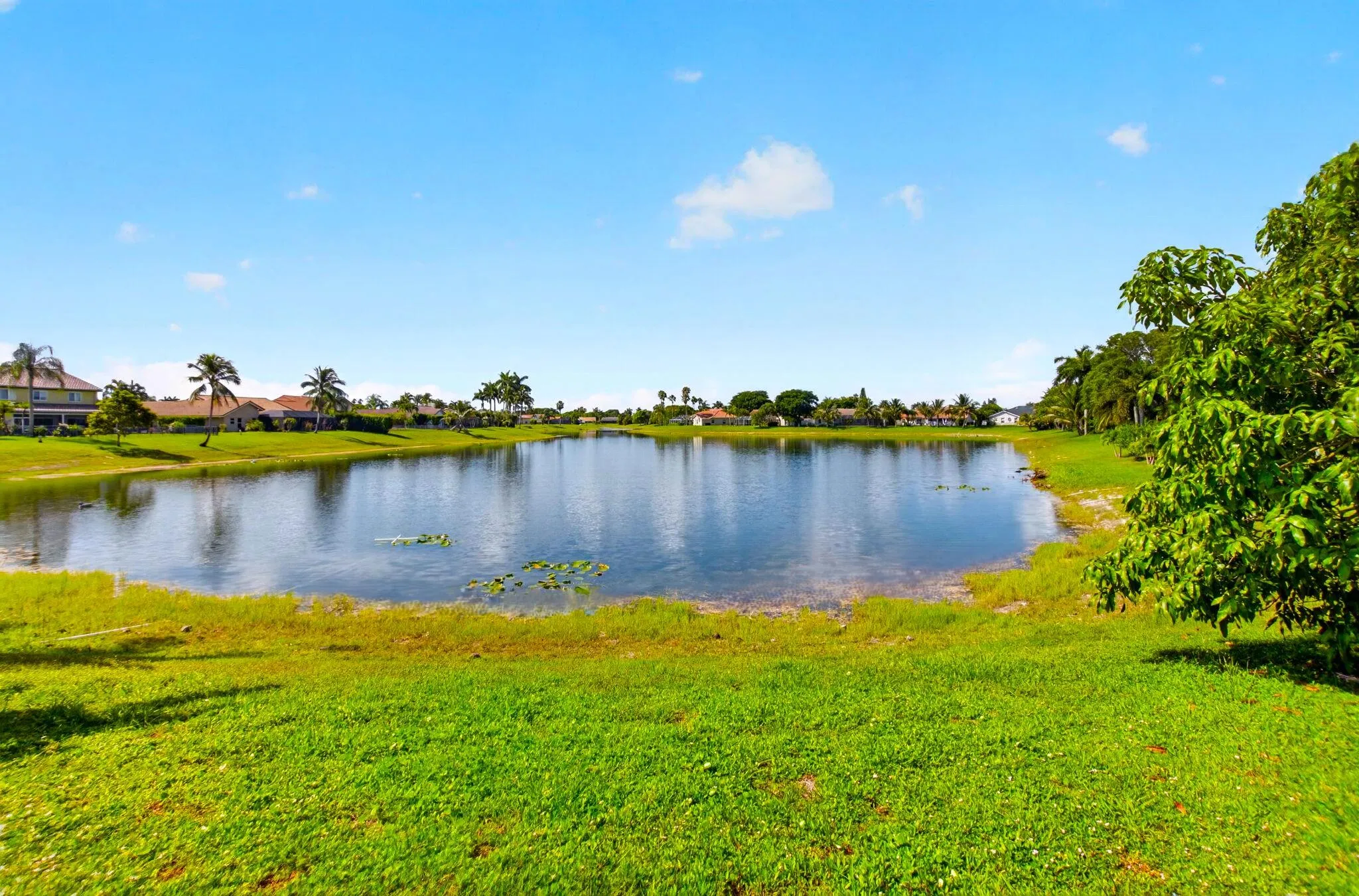 Long Lake Views