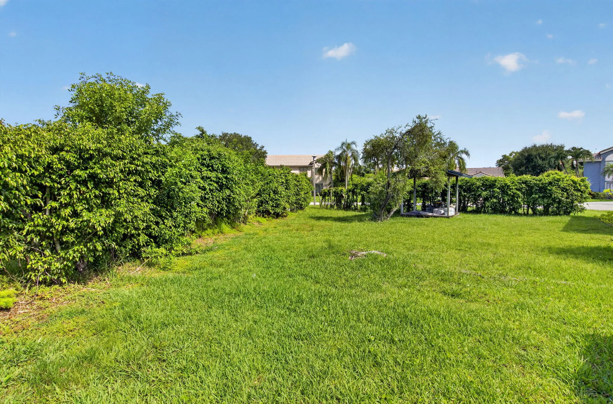 Side yard view