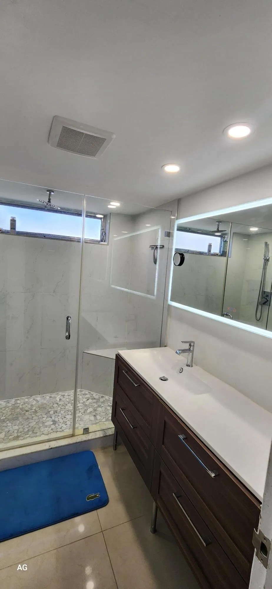 Primary bathroom with rain fall shower head