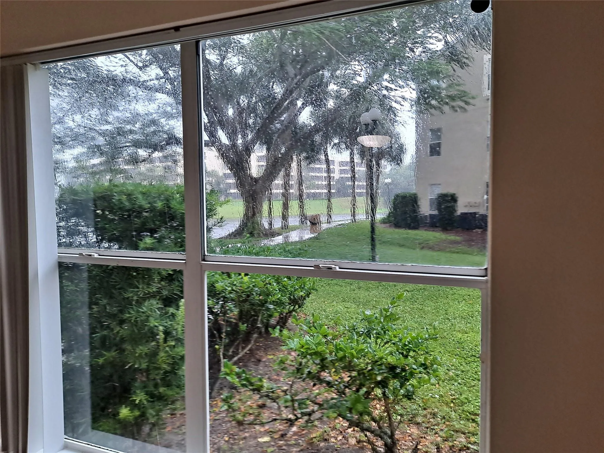 View from the bedroom