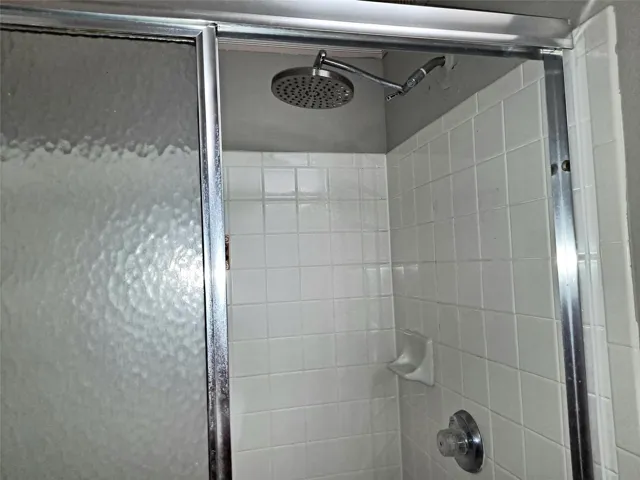 Master bath has a shower