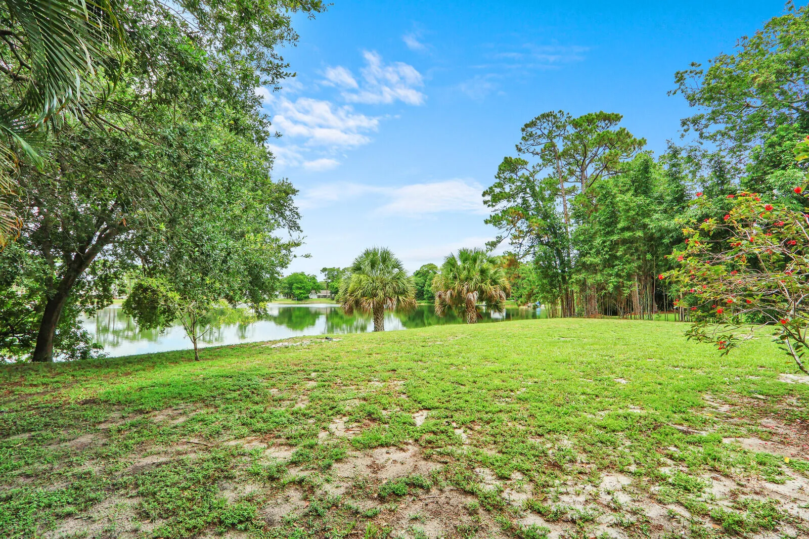 Property photo 47