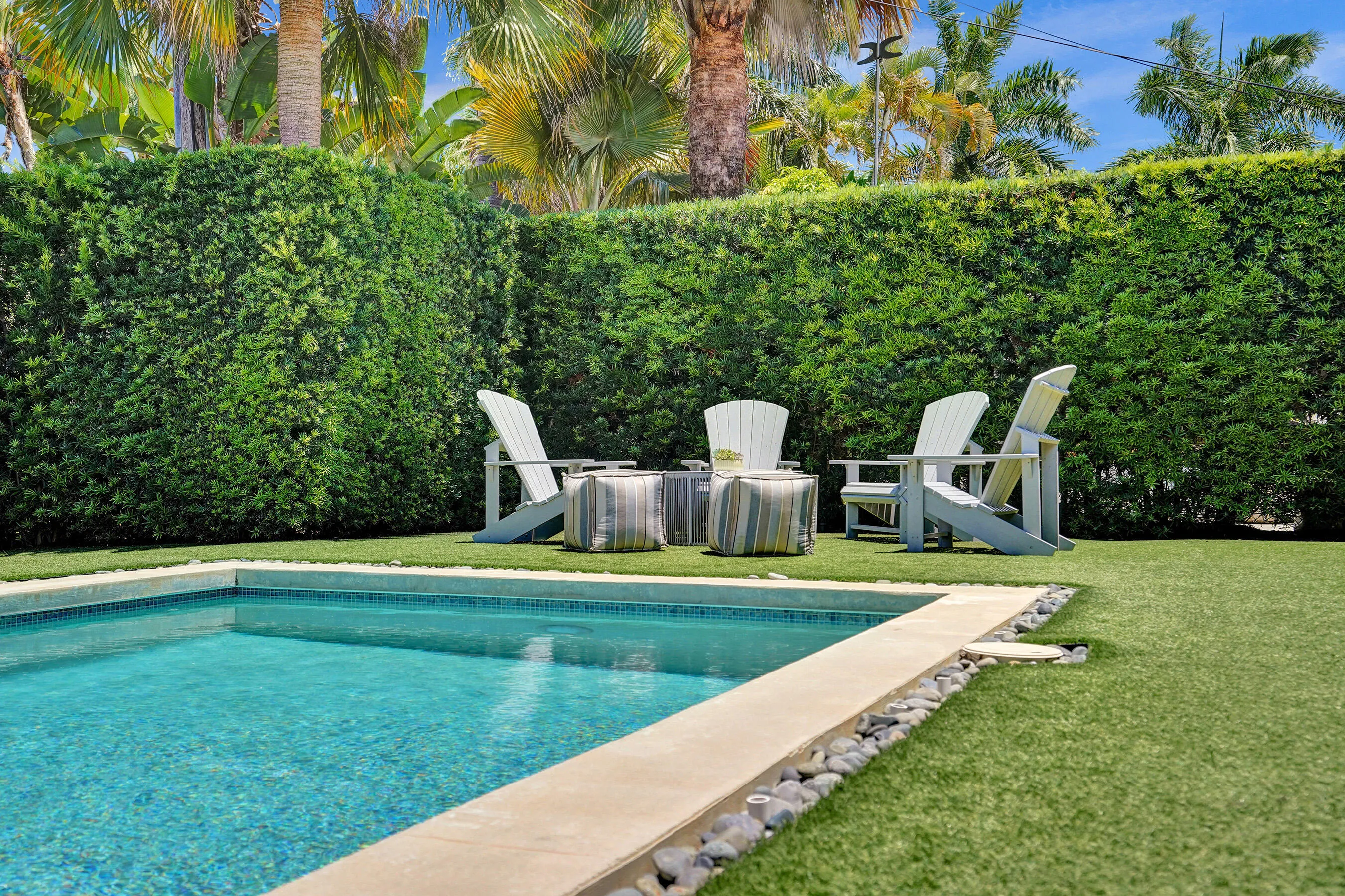 backyard4