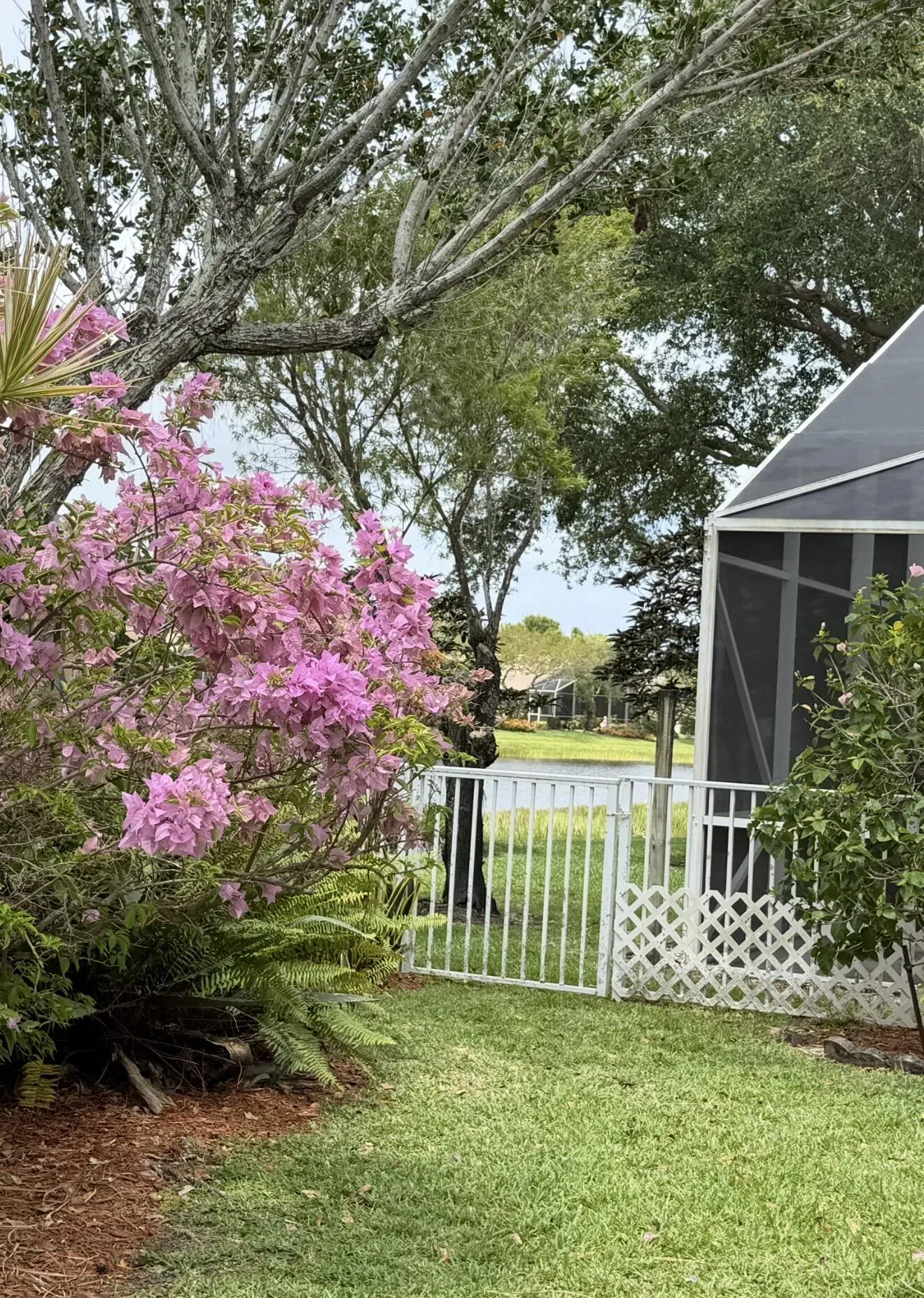 Pond View