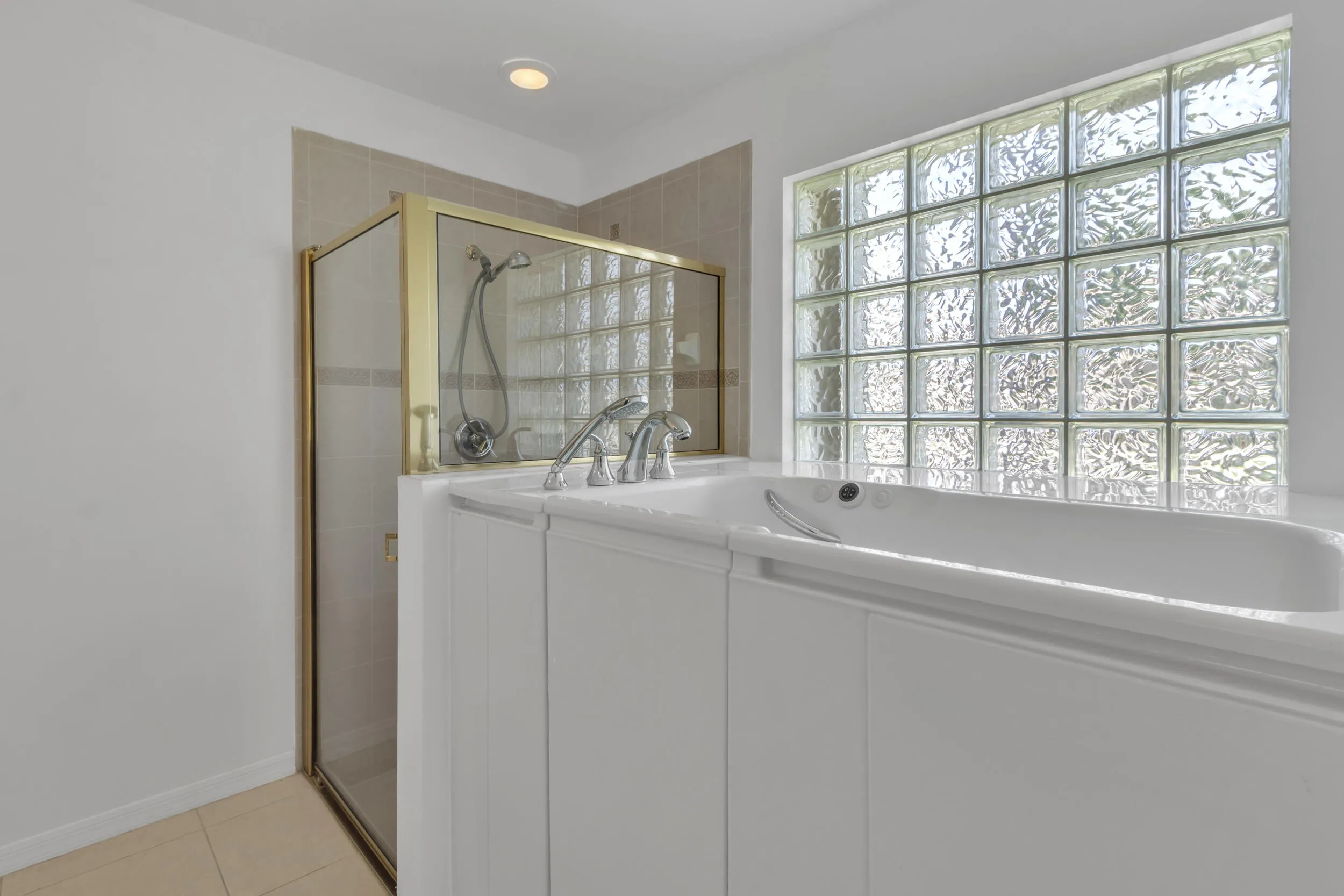 Primary Shower & Walk-In Tub