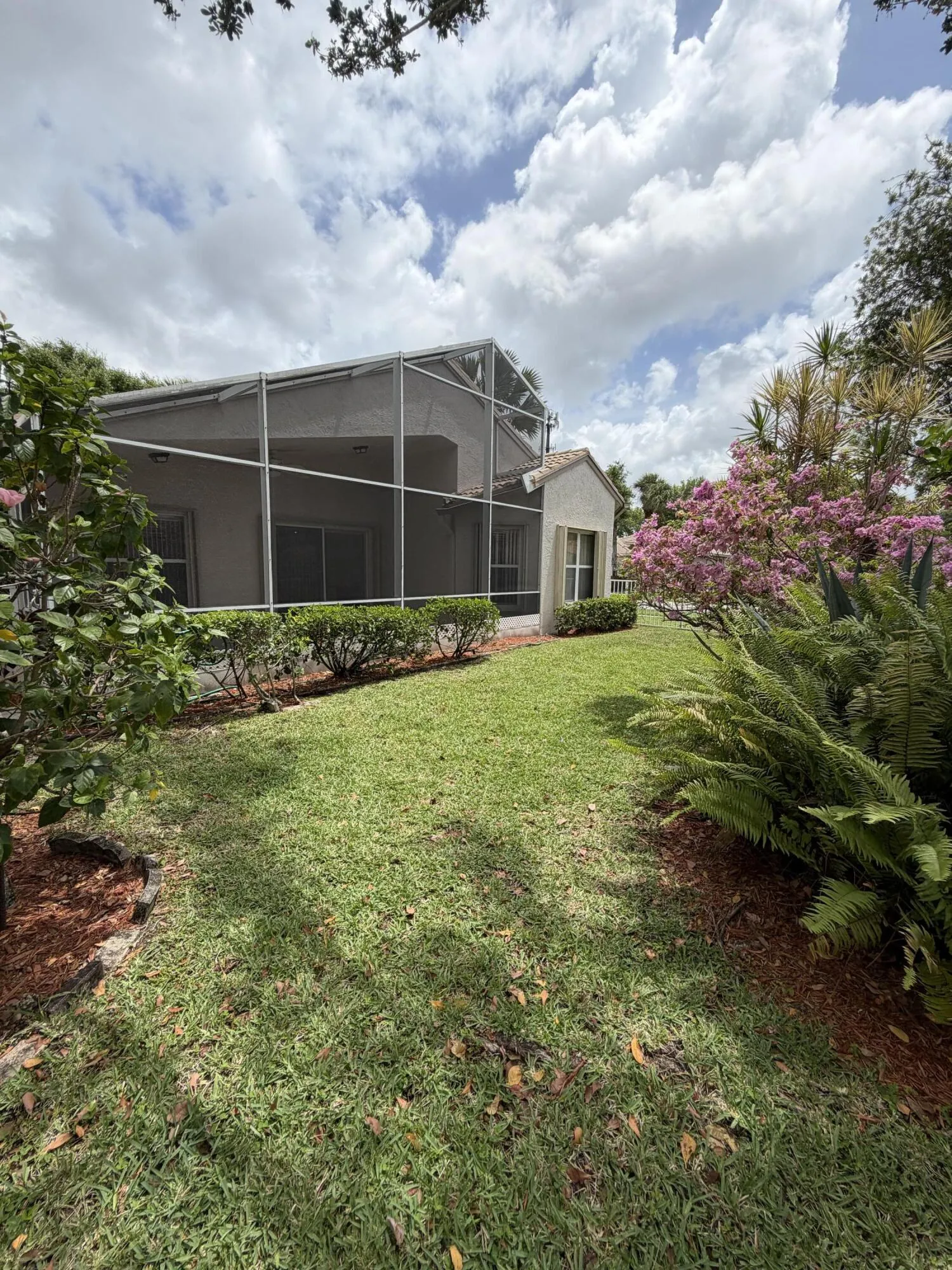 Back of House