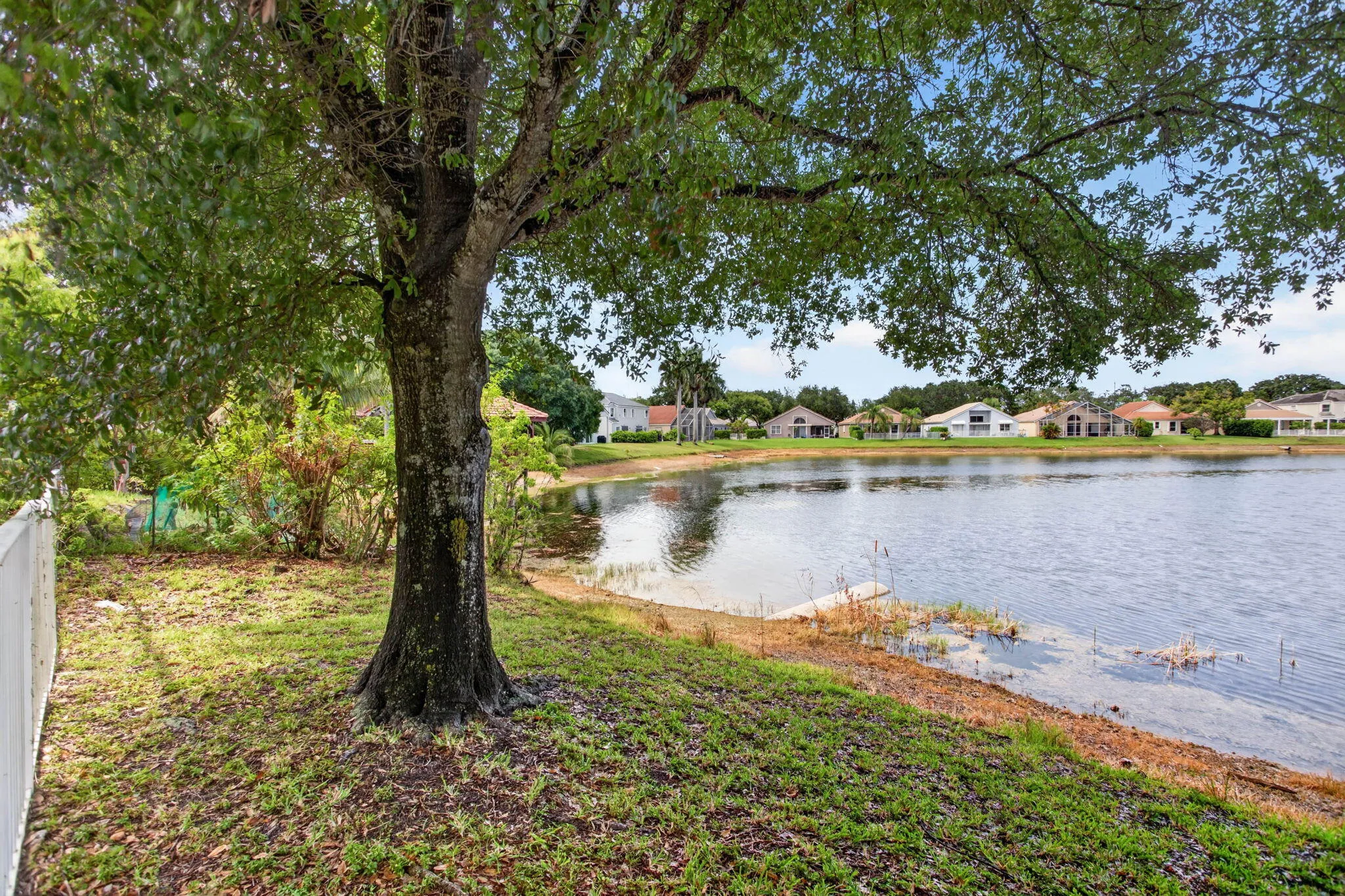 9-web-or-mls-6621-5301