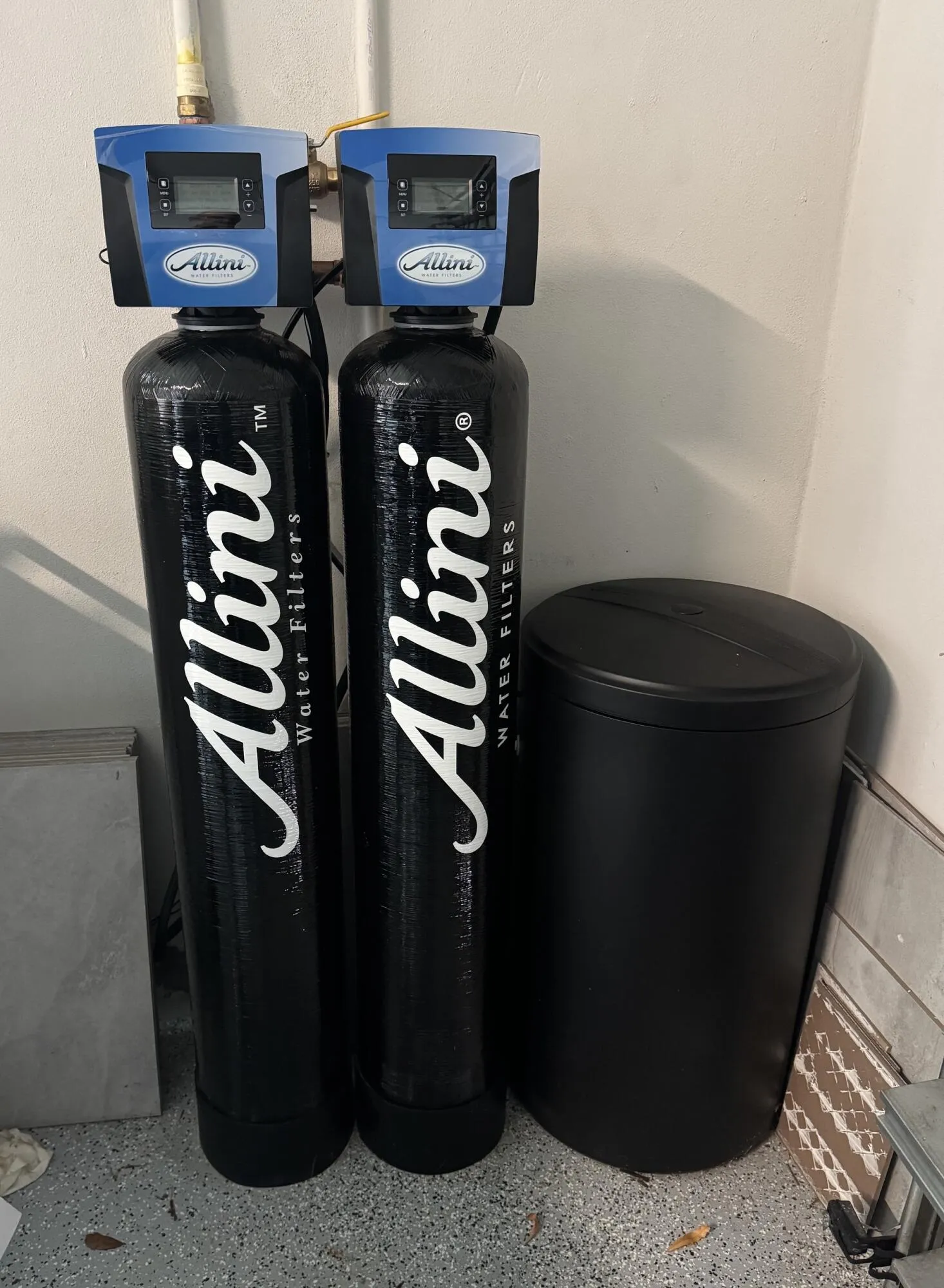 Whole house water filtration system