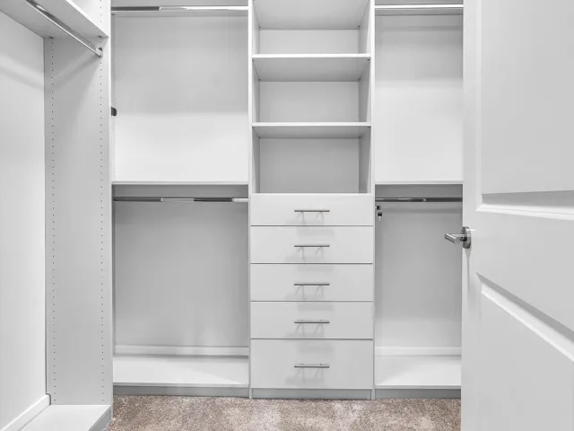 Primary Bathroom Walk-In Tub-Shower