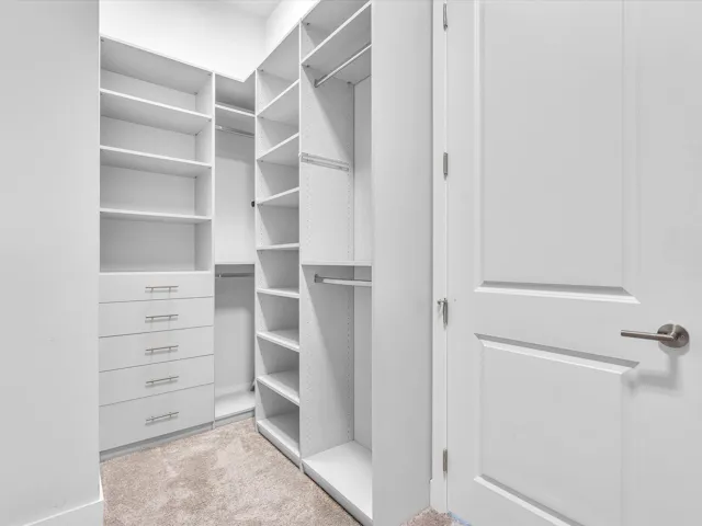 Primary Bathroom Walk-In Tub-Shower