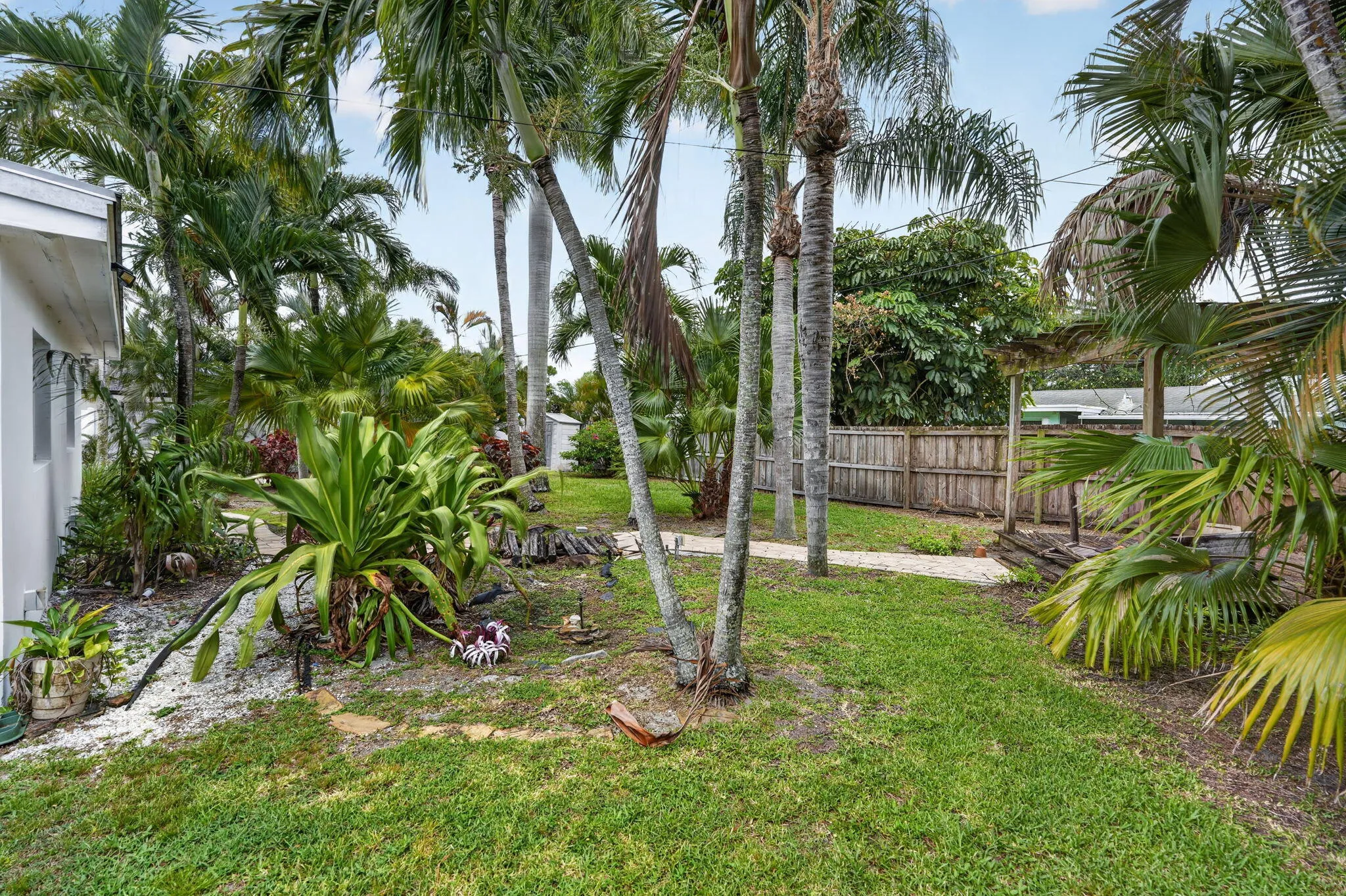 Backyard