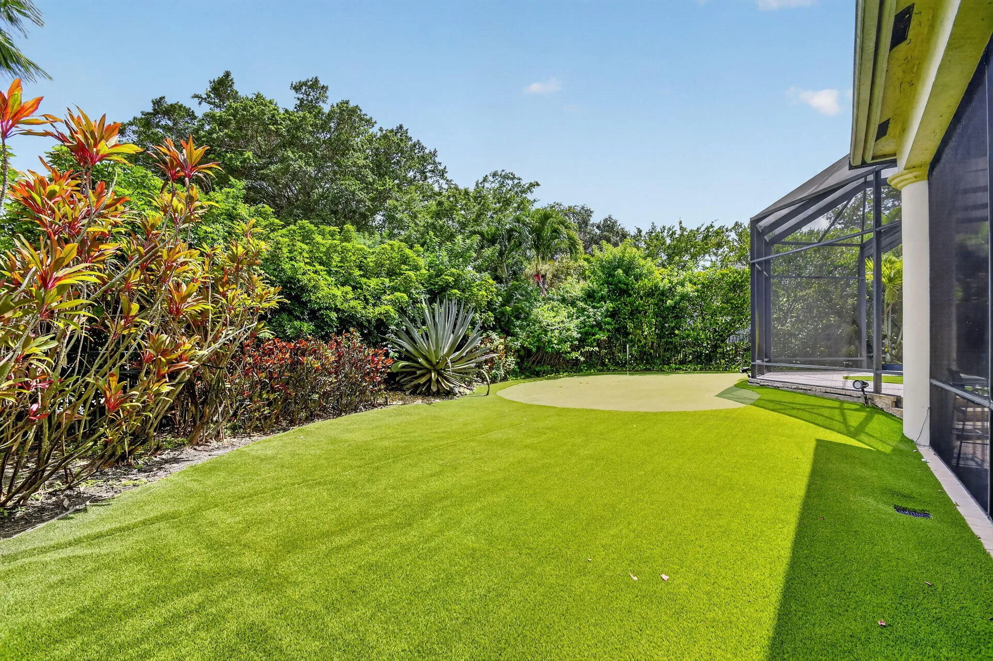 Back Yard