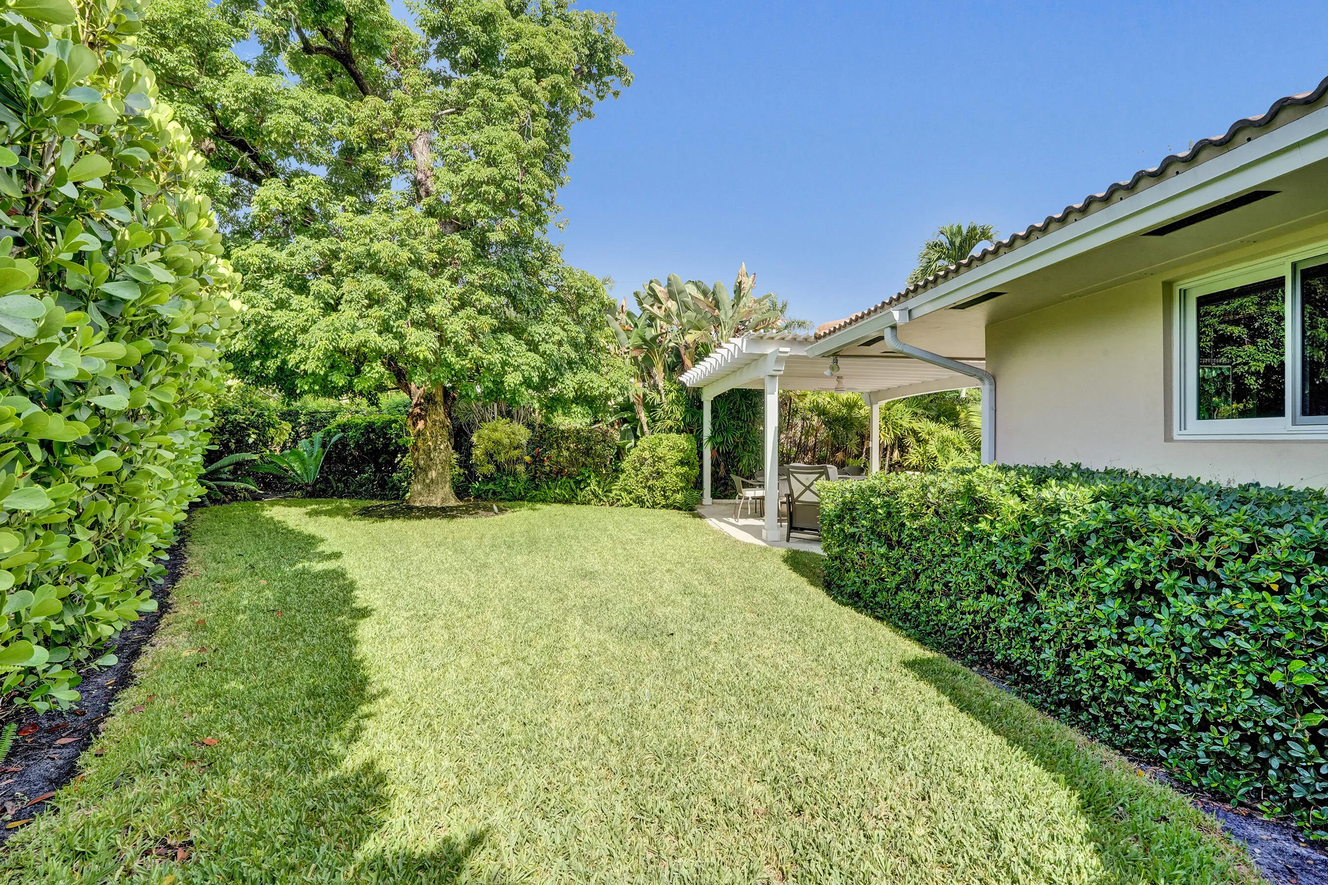 SE side yard