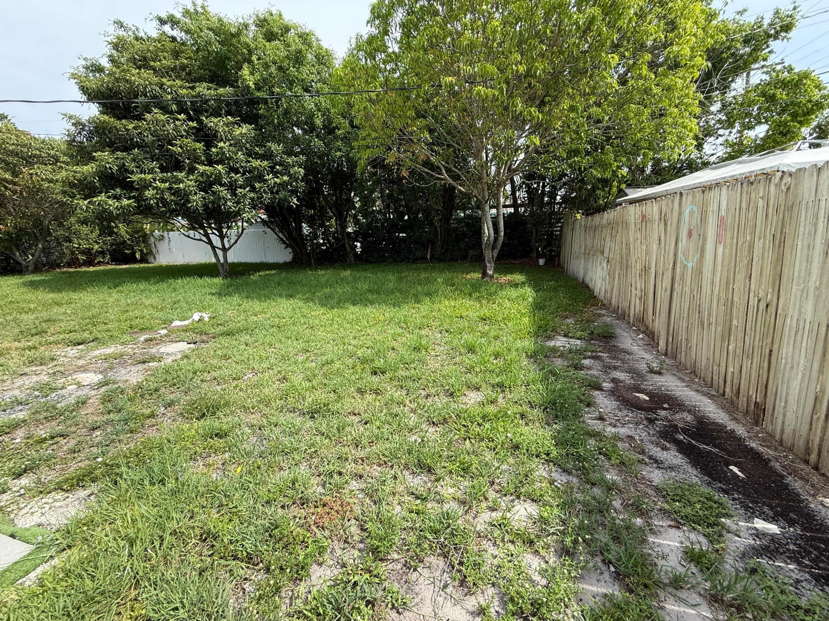 Large Backyard