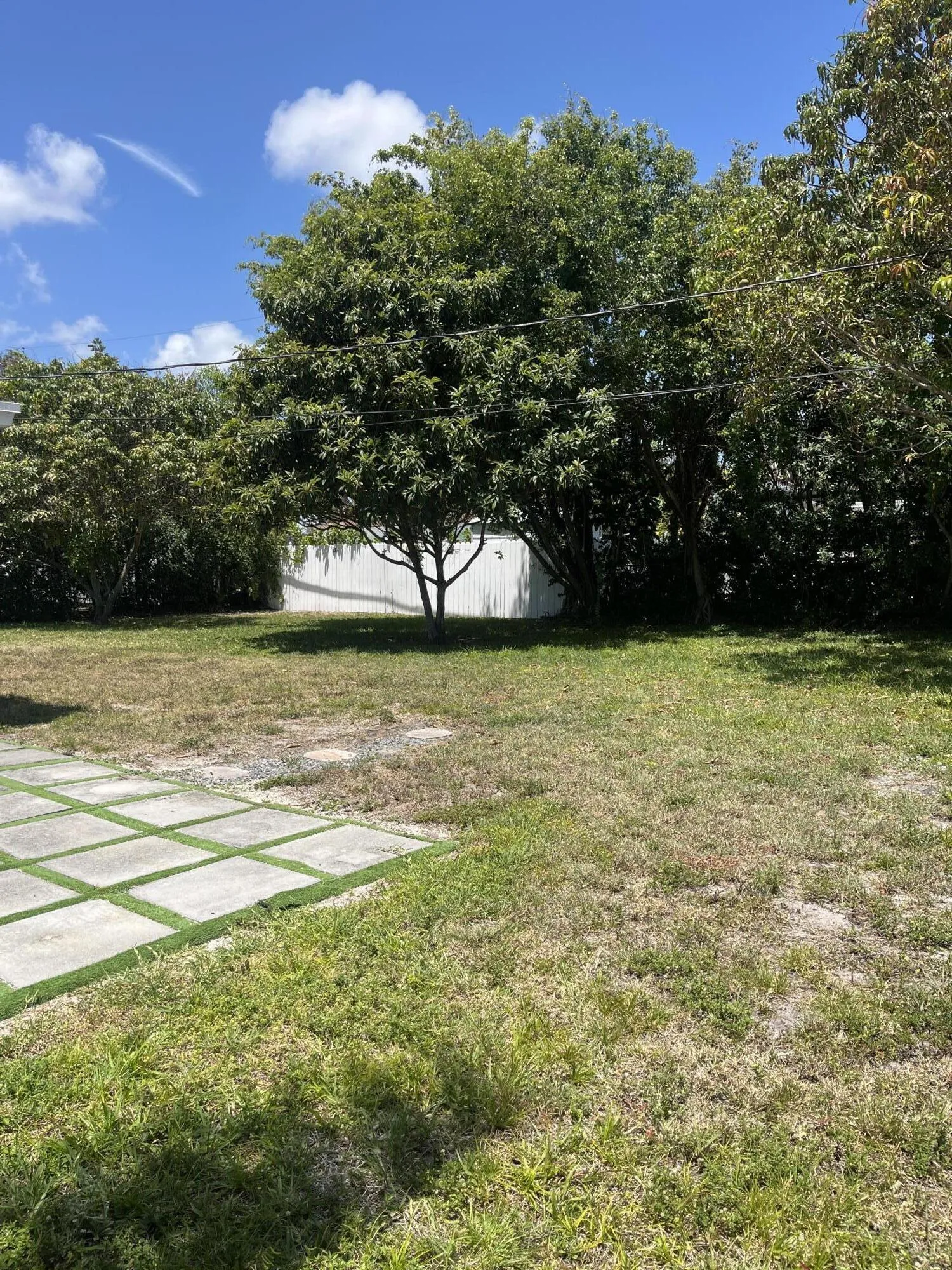 Yard