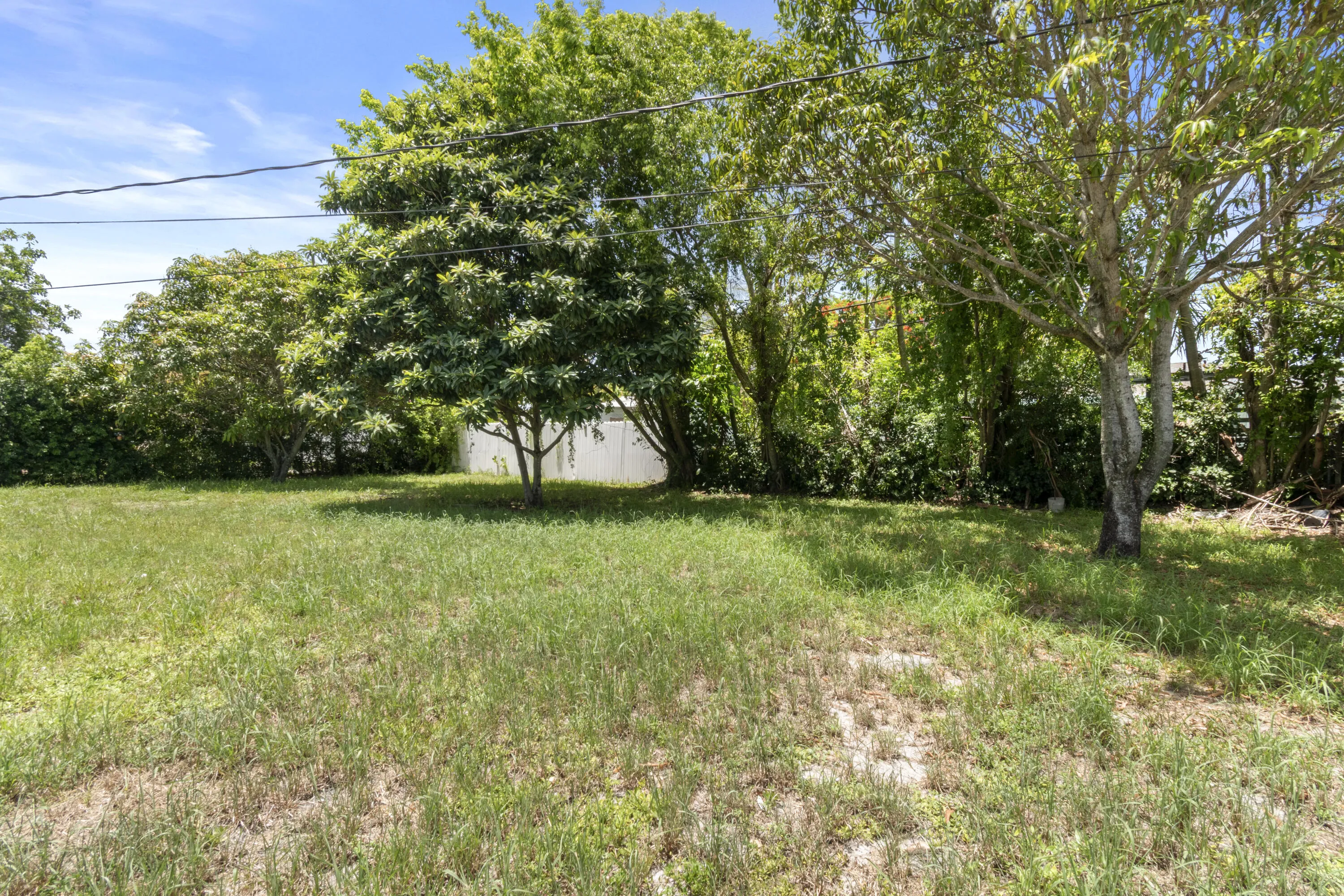 Backyard