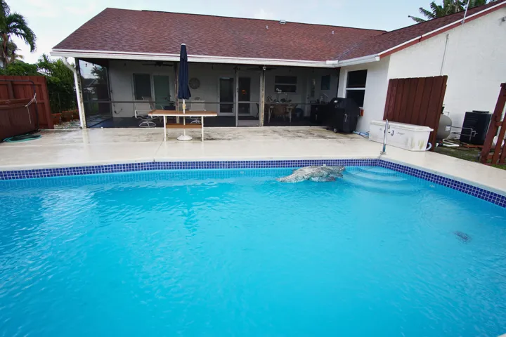 pool