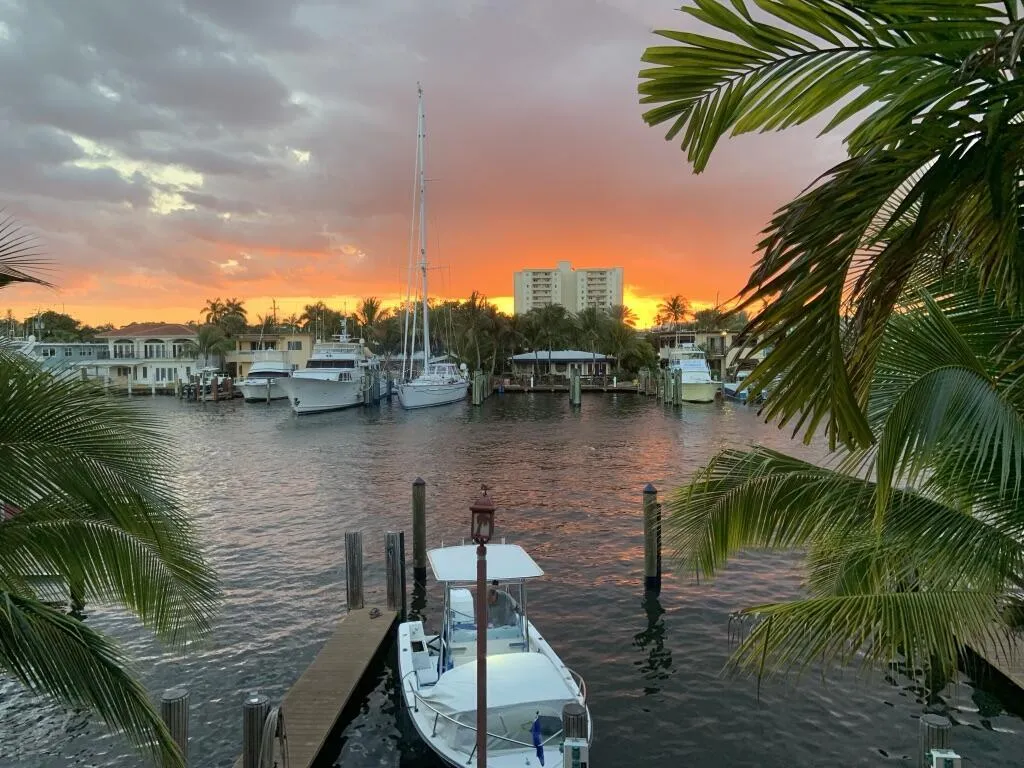 Incredible Sunsets!
