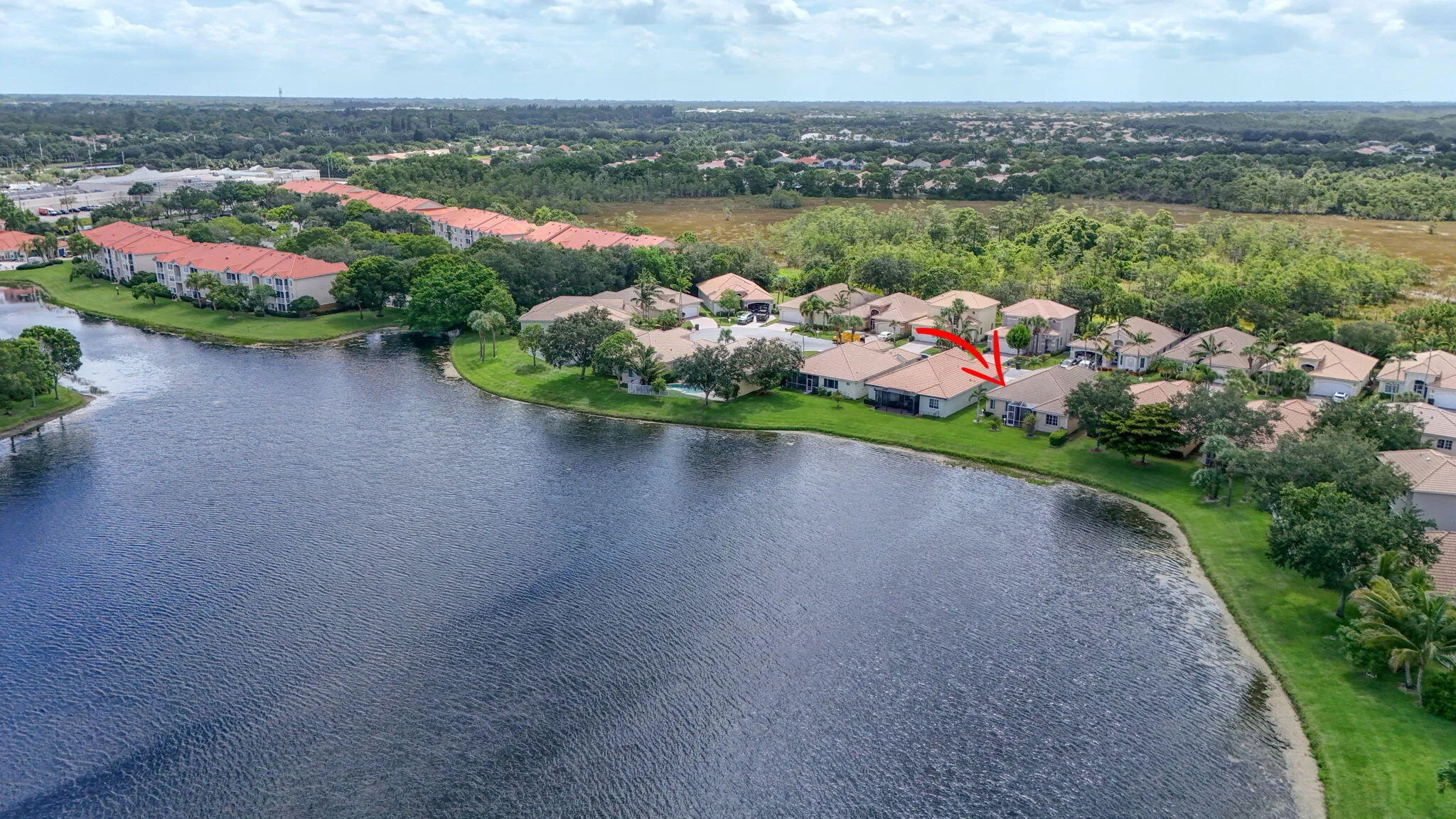 SW View