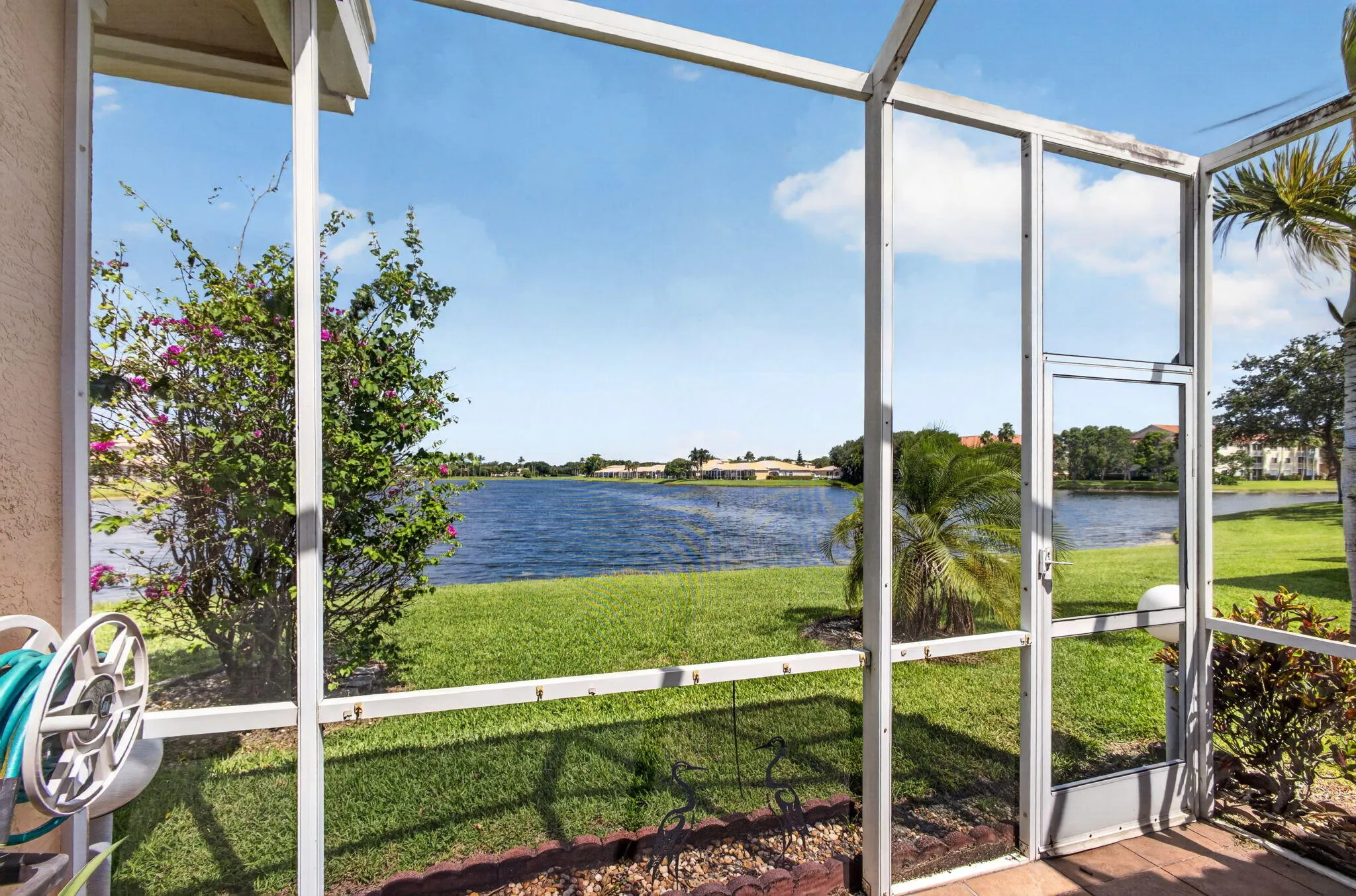 Patio View