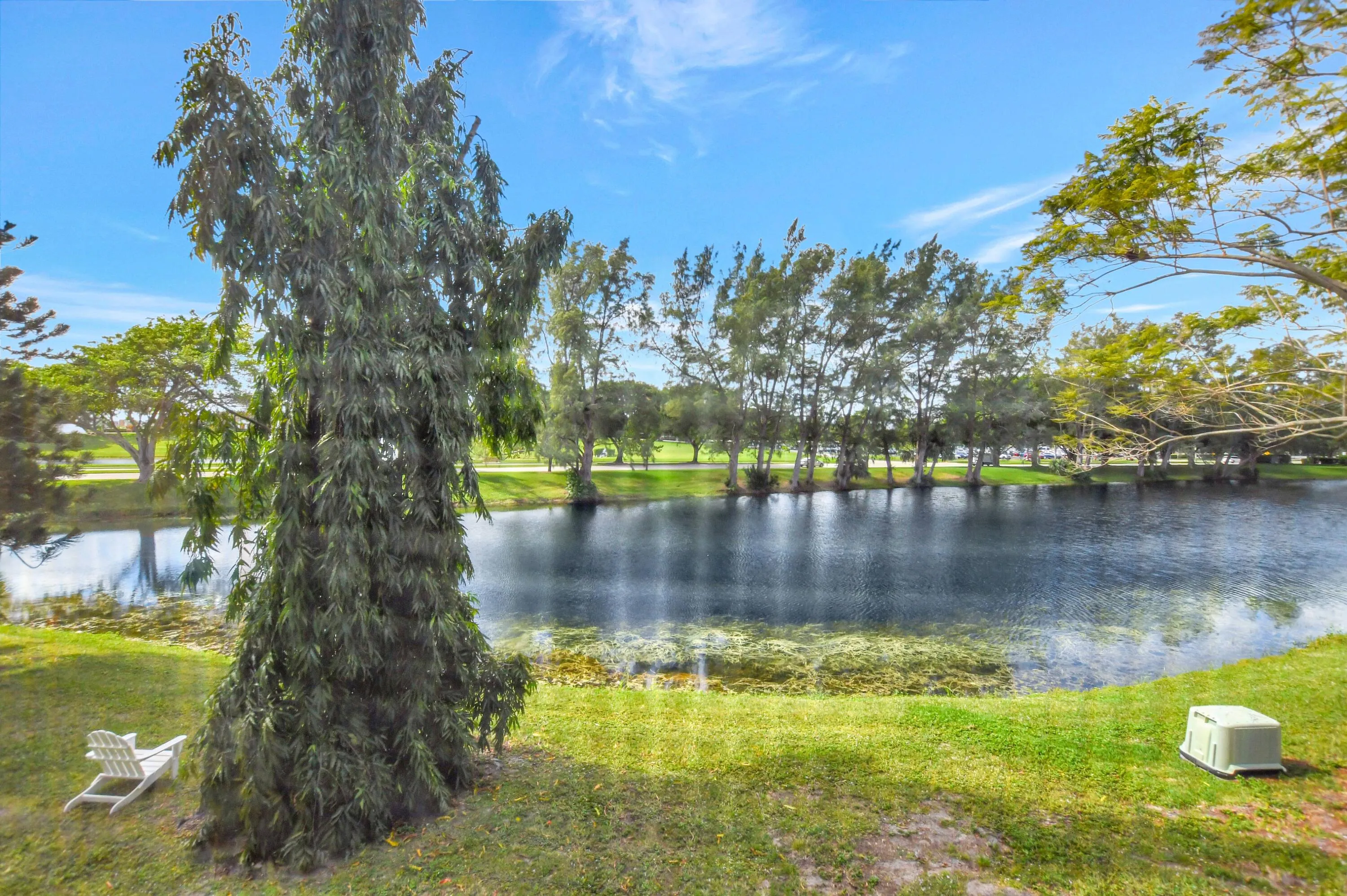 Water View