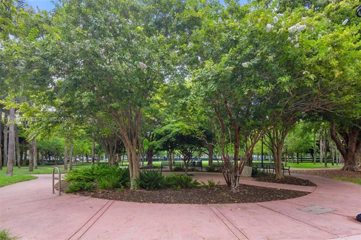 Park Across the Street