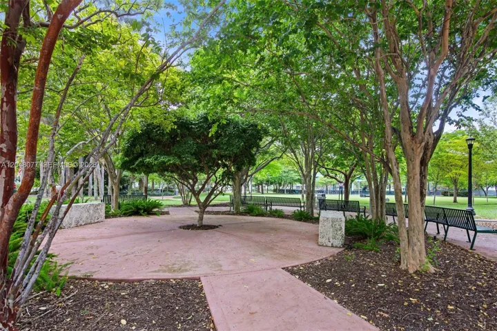 Park Across the Street