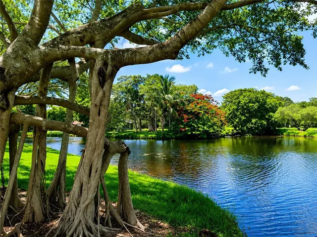 Peaceful lakes & walking paths surrounded by mature tropical landscaping.