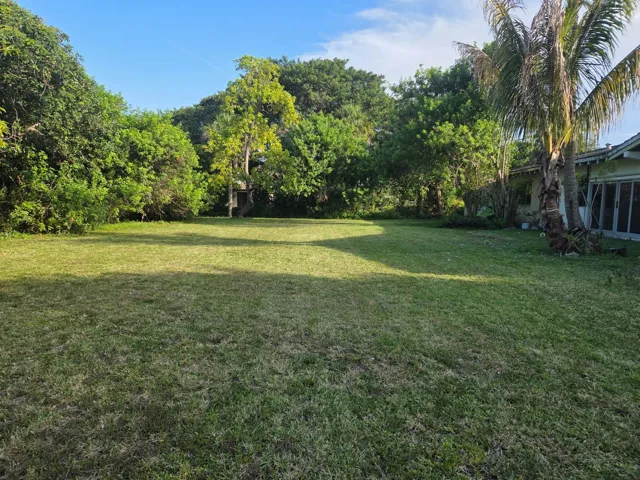 Shared yard
