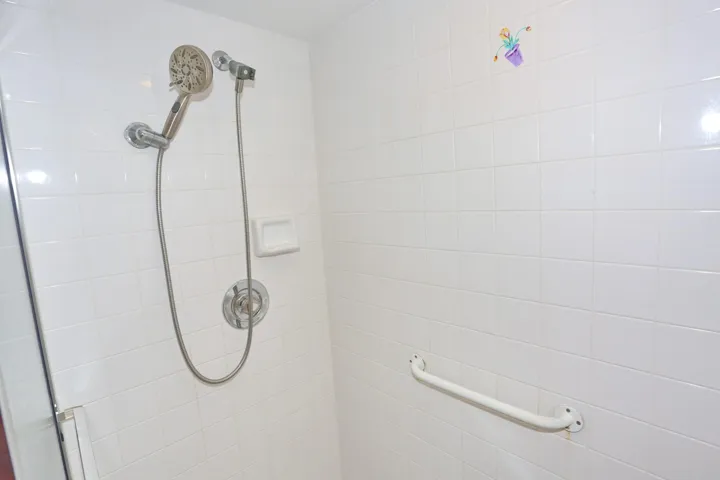 GRAB BARS