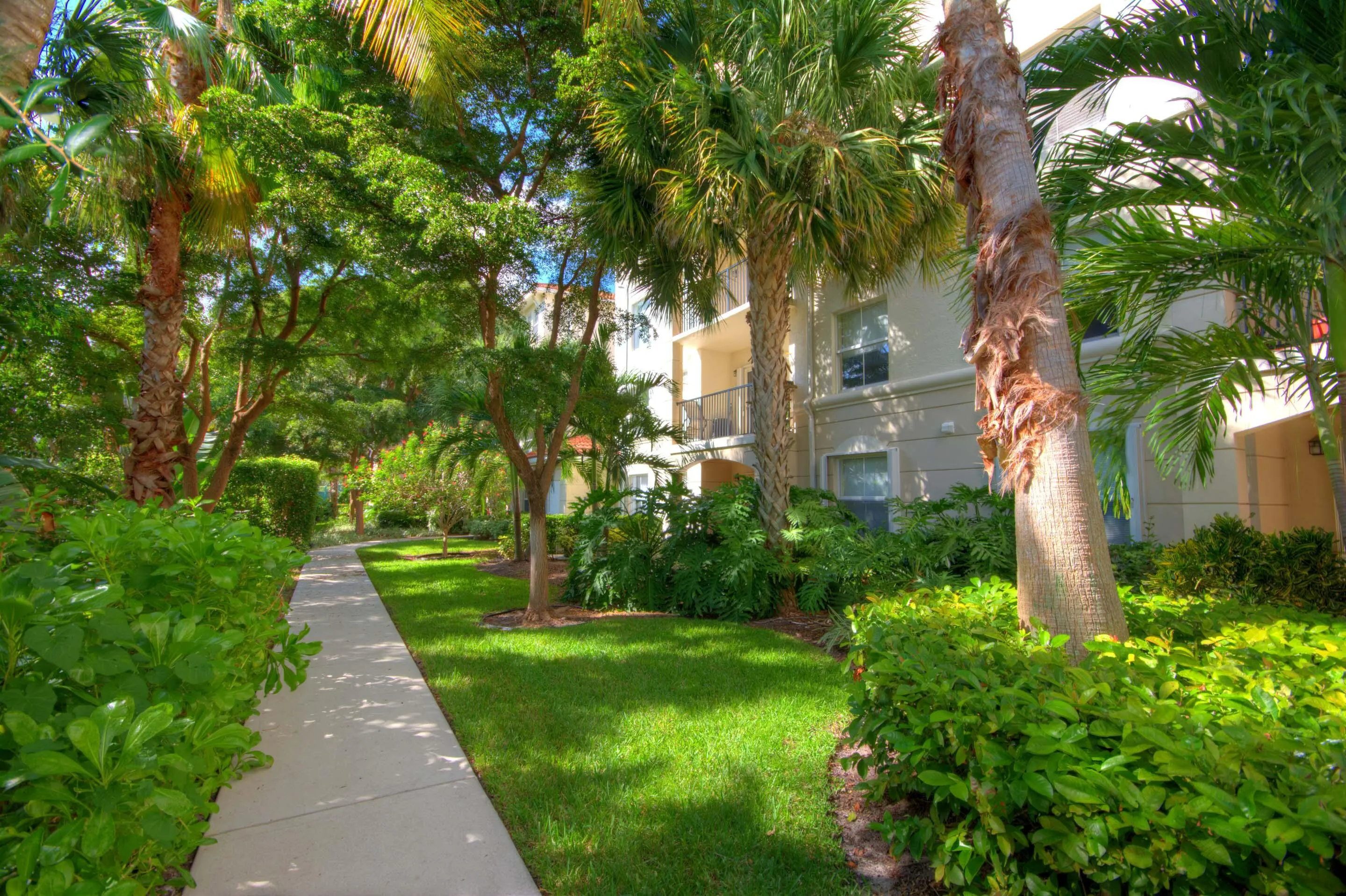 Immaculate Walking Path