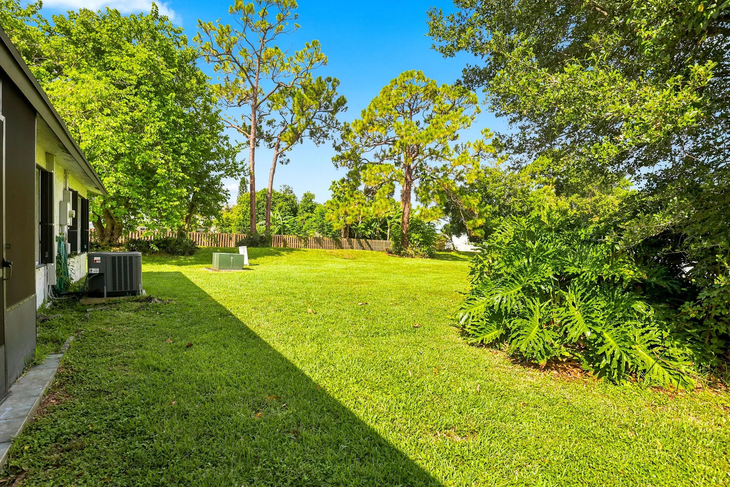Large Backyard